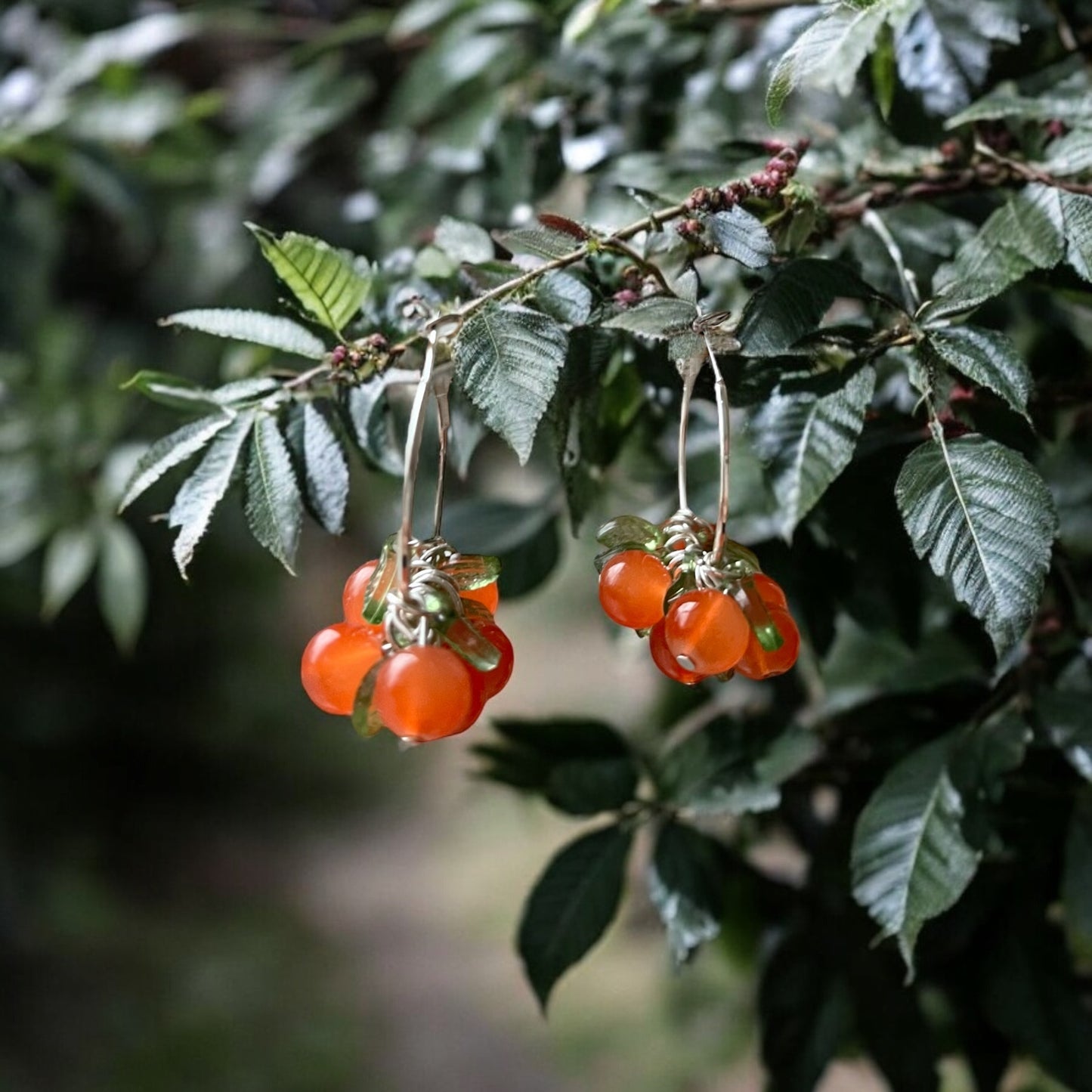 Rowan berry Loop earrings